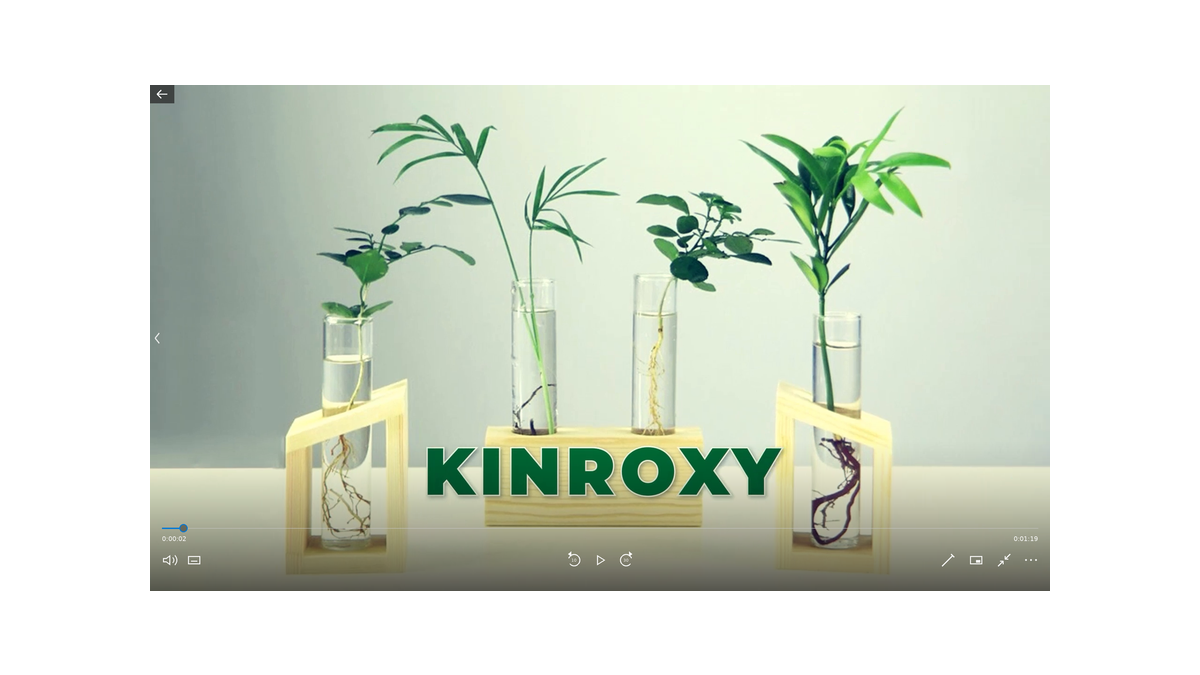 KINROXY - Propagation Station Set portfolio project cover